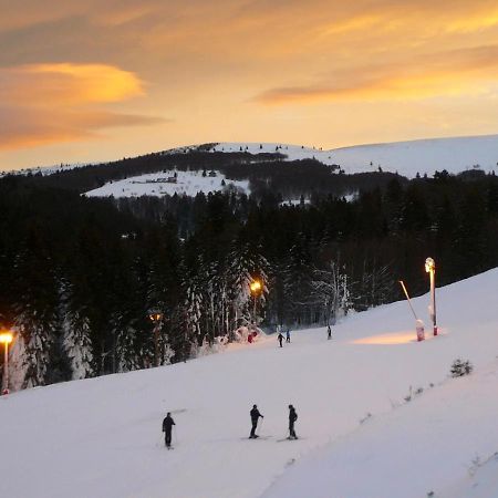 Ma Montagne Chic Lejlighed La Bresse Eksteriør billede